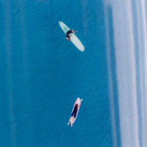 The Finlet Twin Fish - Line Up