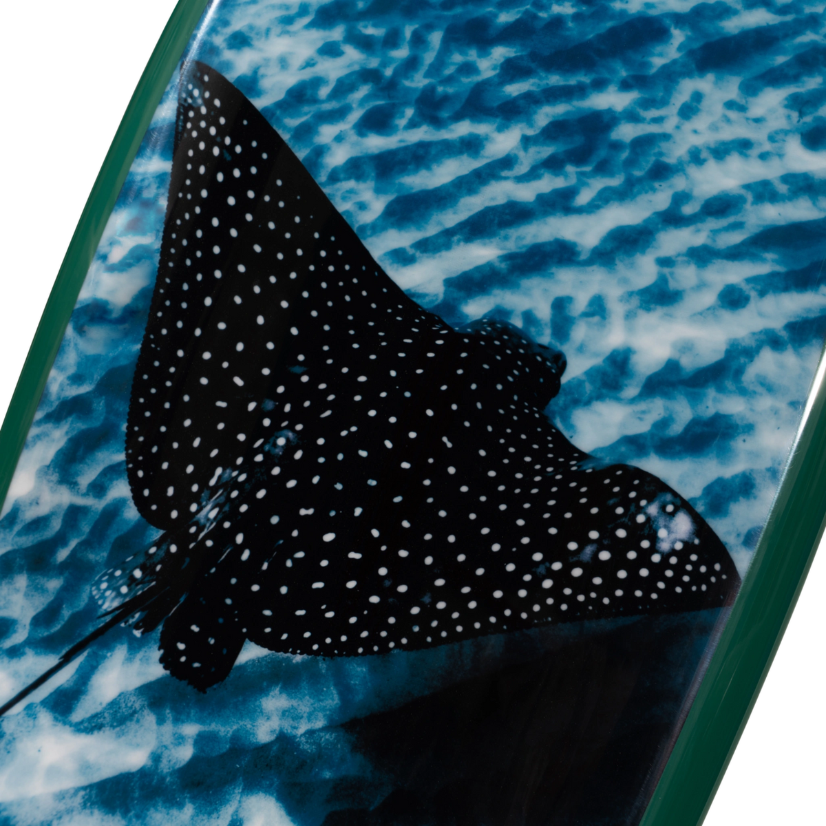 Flying Solo by Henry Bliss – Limited Edition Surfboard Art